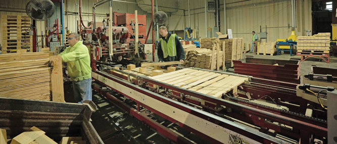 Plant Eliminates Bottlenecks: Woodpecker Machine from Viper Industrial Builds Block Pallets for PECO