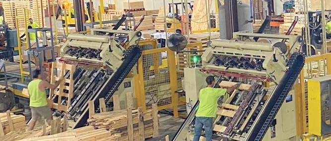 The Woody Nailer Helps Ease Labor Struggle: General Pallets & Crates Focuses on Operational Excellence and Quality