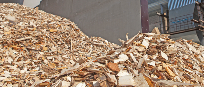 Biomass Market Suffers from  Low Gas & Oil Prices, But a Few Bright Spots Reported