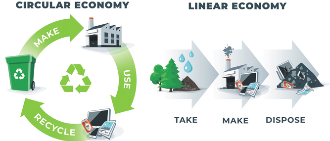 Wooden Pallets and Circular Economy