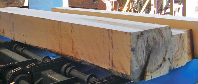 Positioned for the Next Lumber Market Upswing –  Kentucky Sawmill Adds Brewer Grade Resaw System