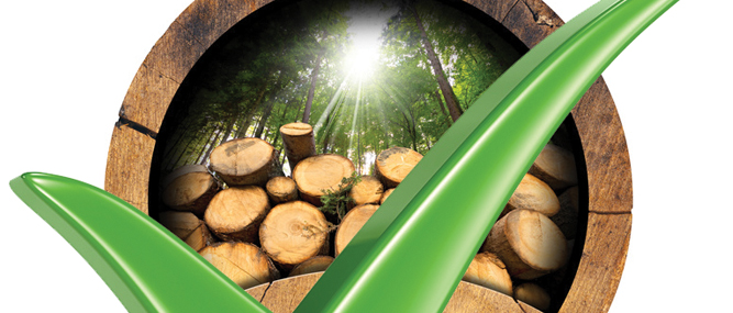 Coming into Focus: USDA Terminates Hardwood Checkoff