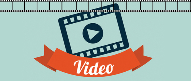 2015 Video Guide