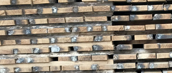 Dry Pallet Lumber to Prevent Mold, Stain