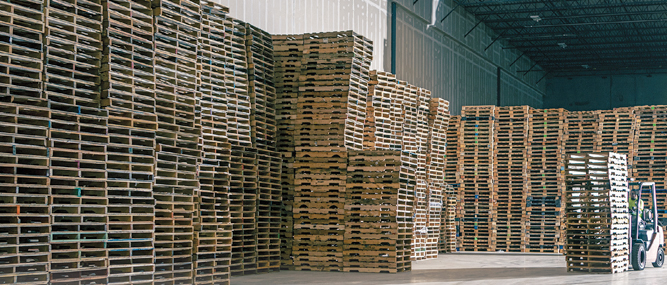 Next Generation Pallet Management: Propak Founder, Steve Clark, Shares His Vision for the Future of PLA